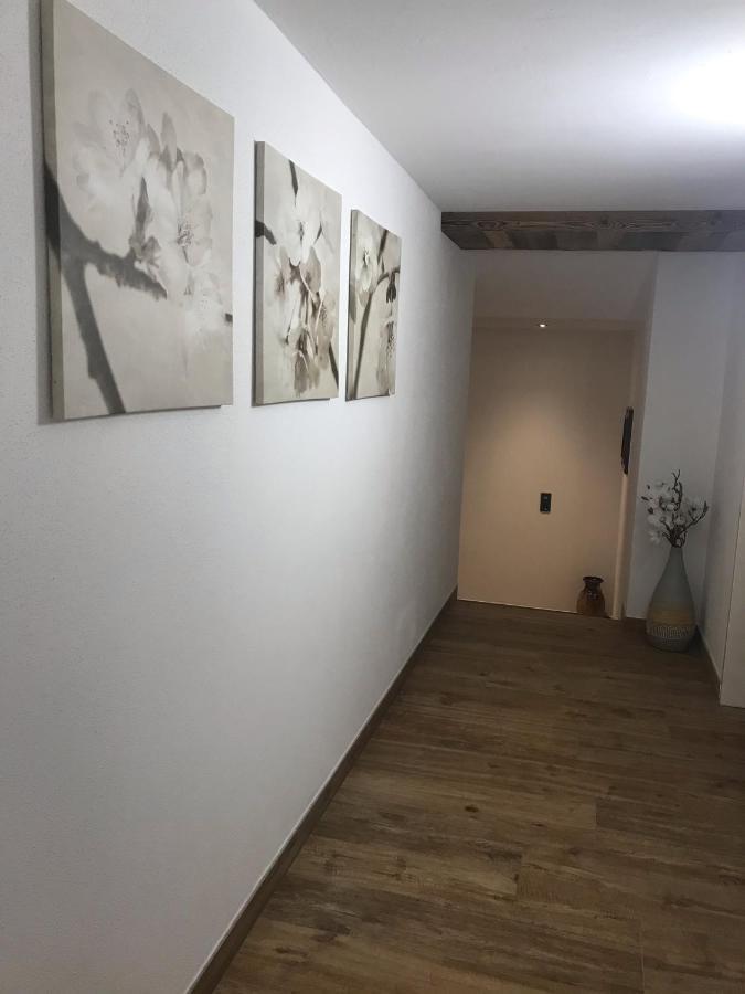 Appartement Fritzl Wagrain Eksteriør bilde